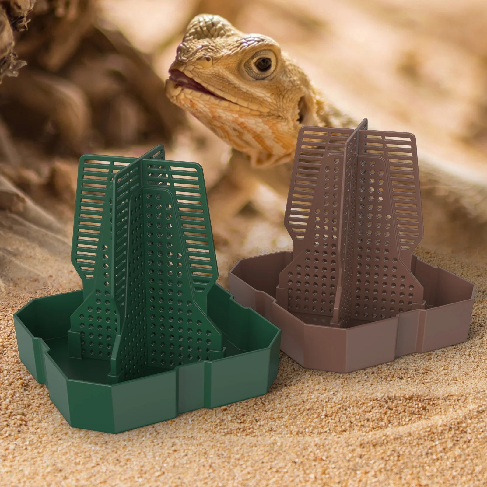 Live Food Feeding Dish for Reptiles