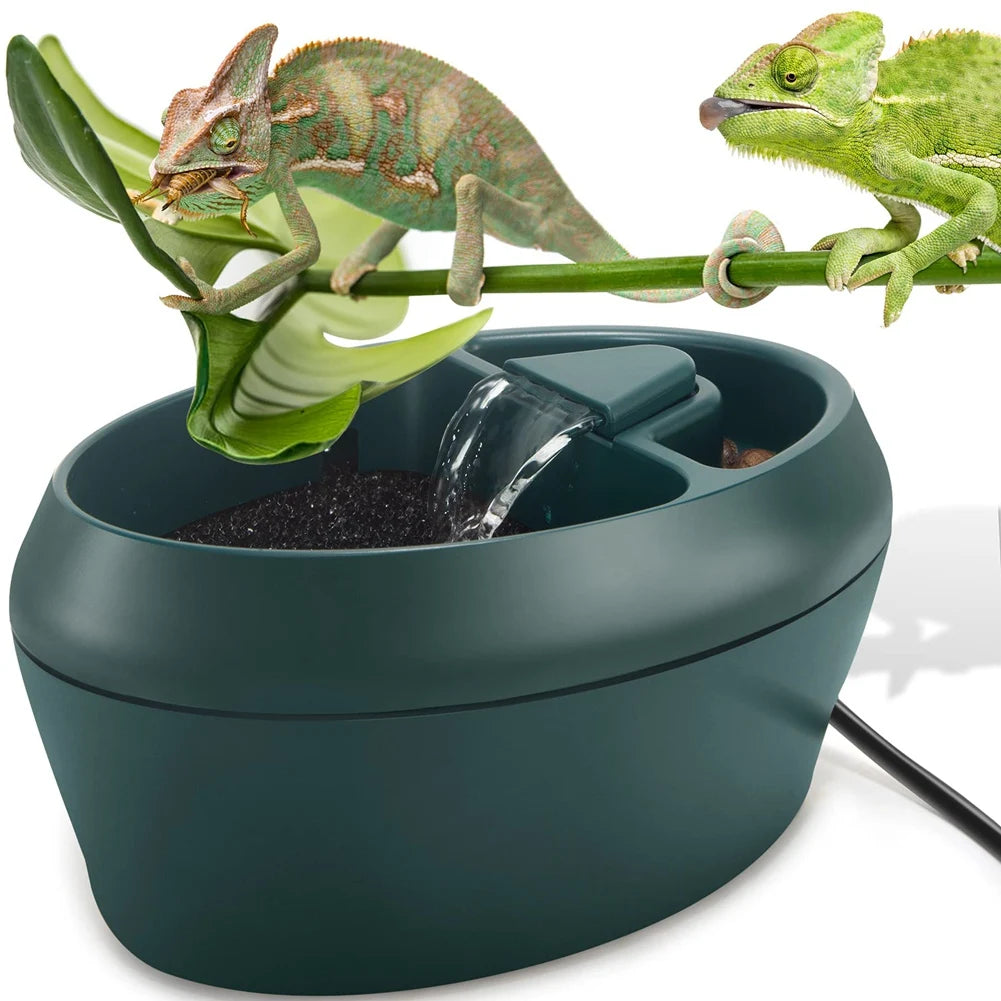 Reptile Drinking Fountain with Snack Trough