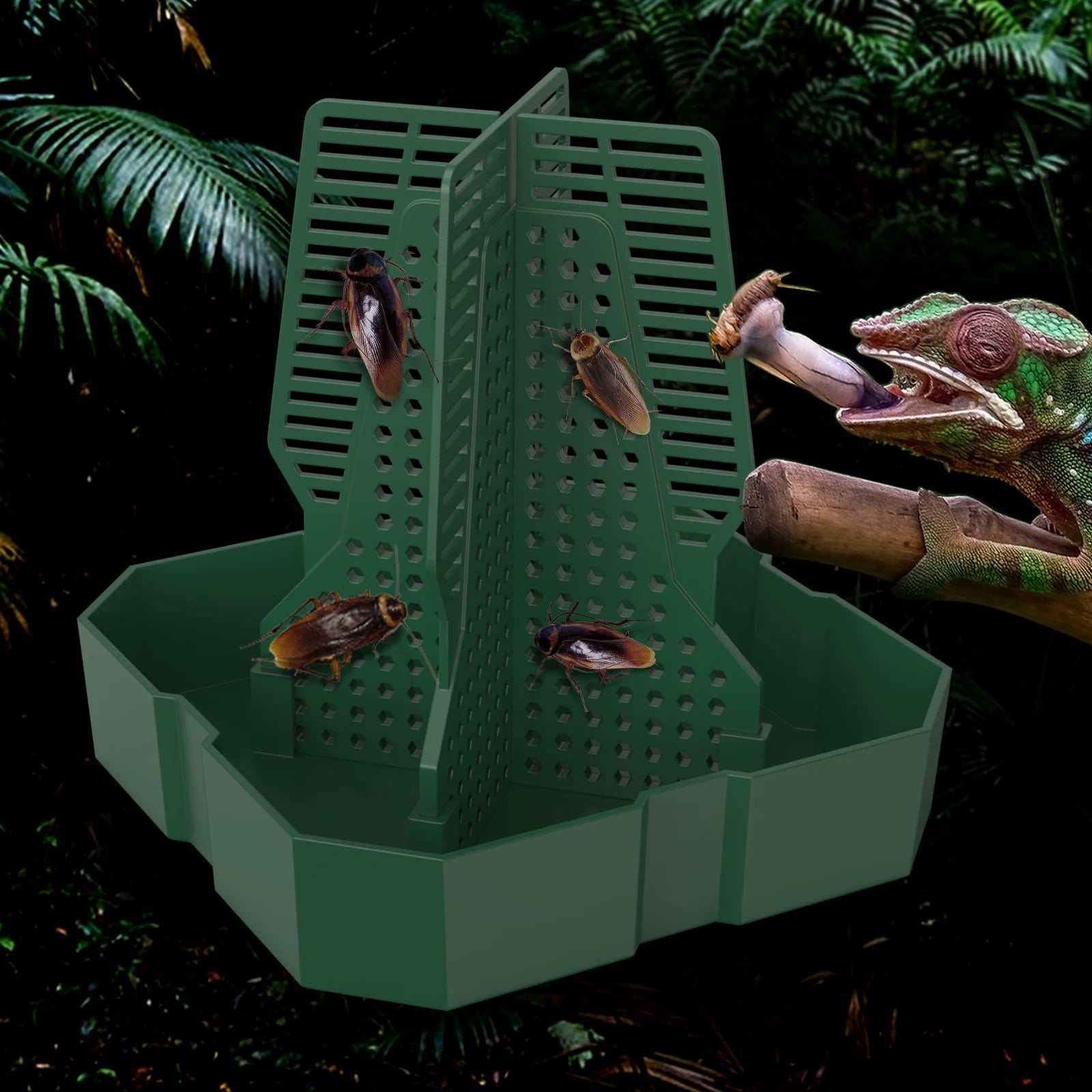 Live Food Feeding Dish for Reptiles