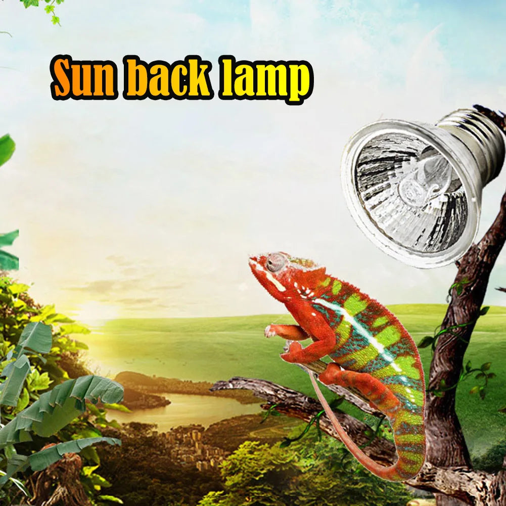 Reptile UVB Basking Lamp for Turtles
