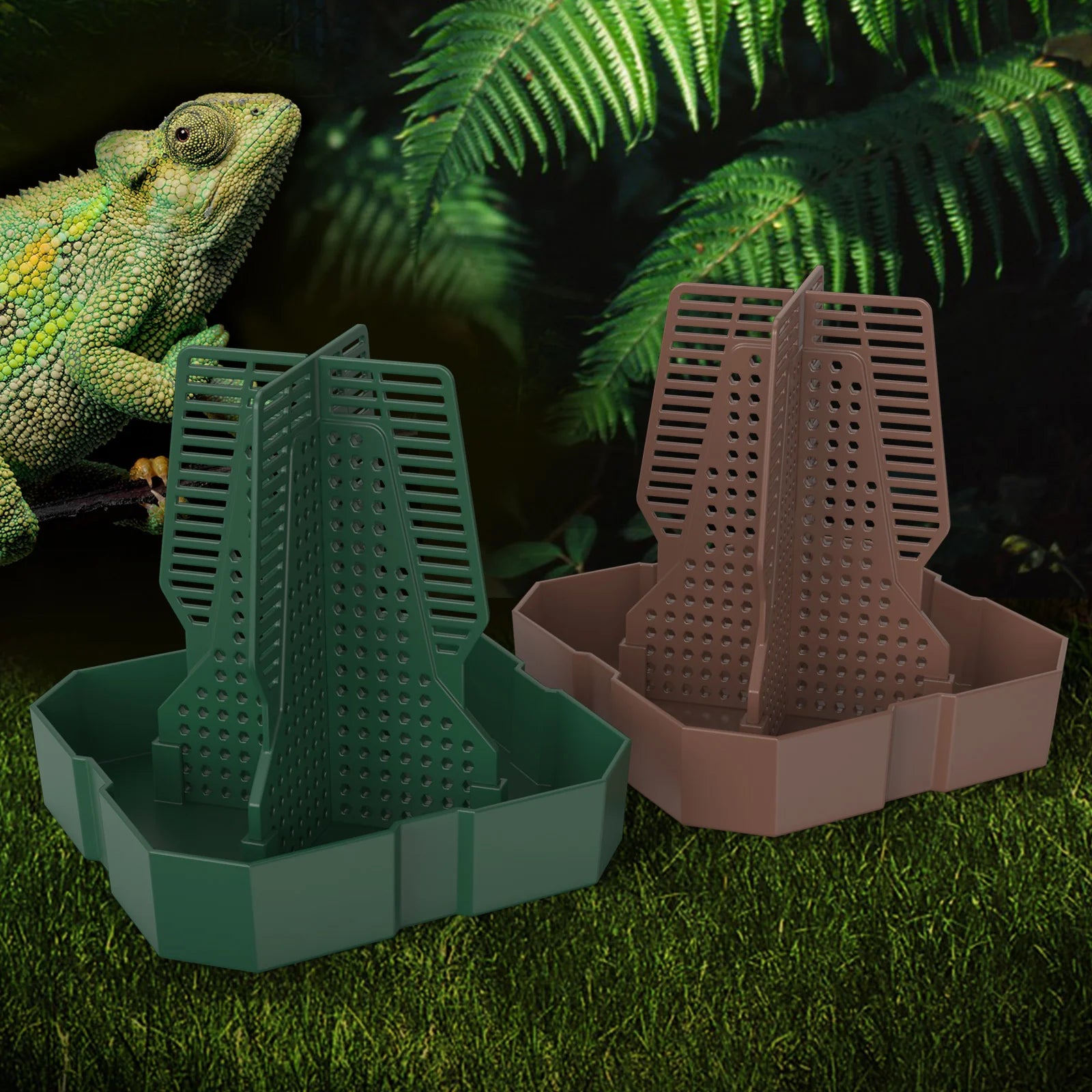 Live Food Feeding Dish for Reptiles