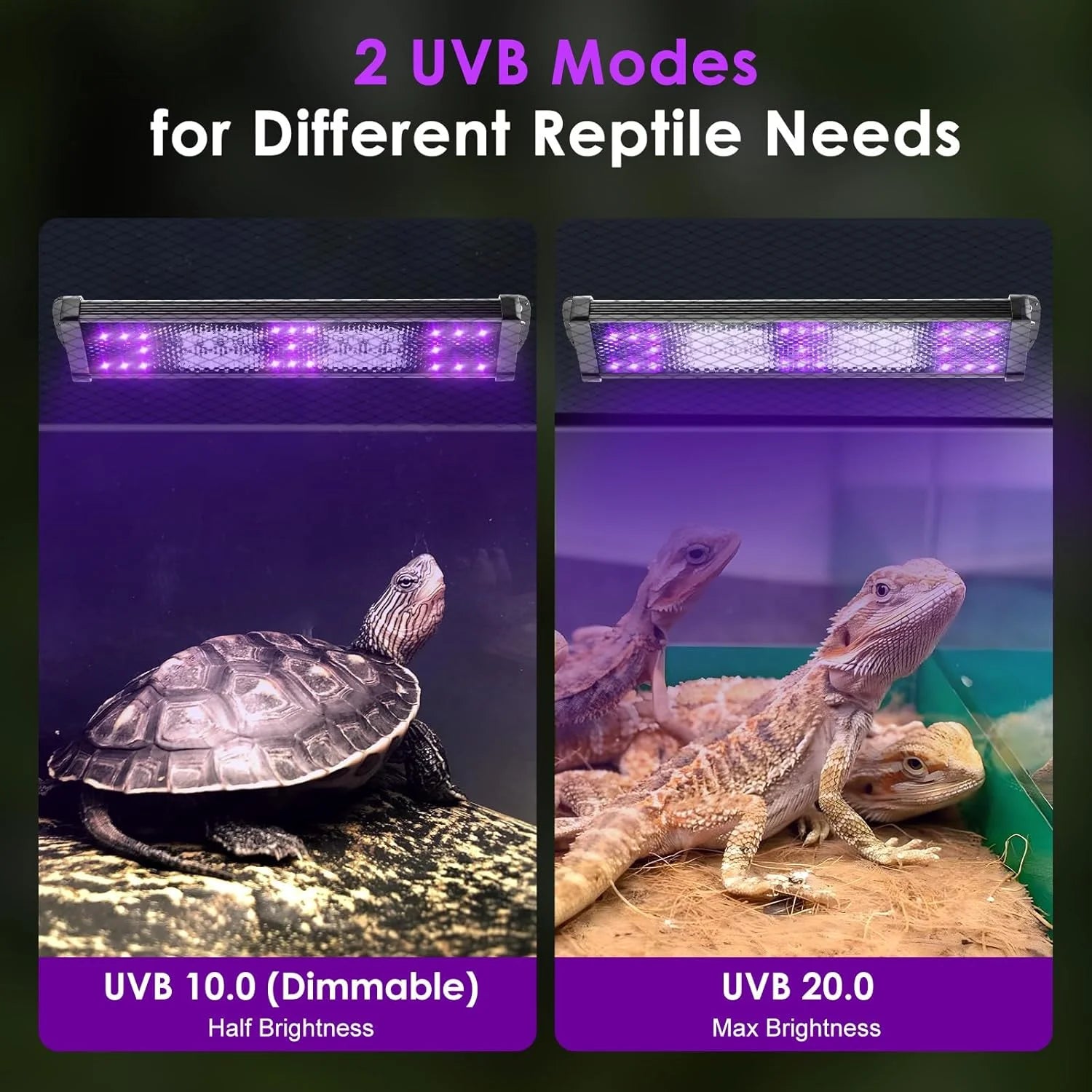 Full Spectrum UVB Reptile Heat Lamp