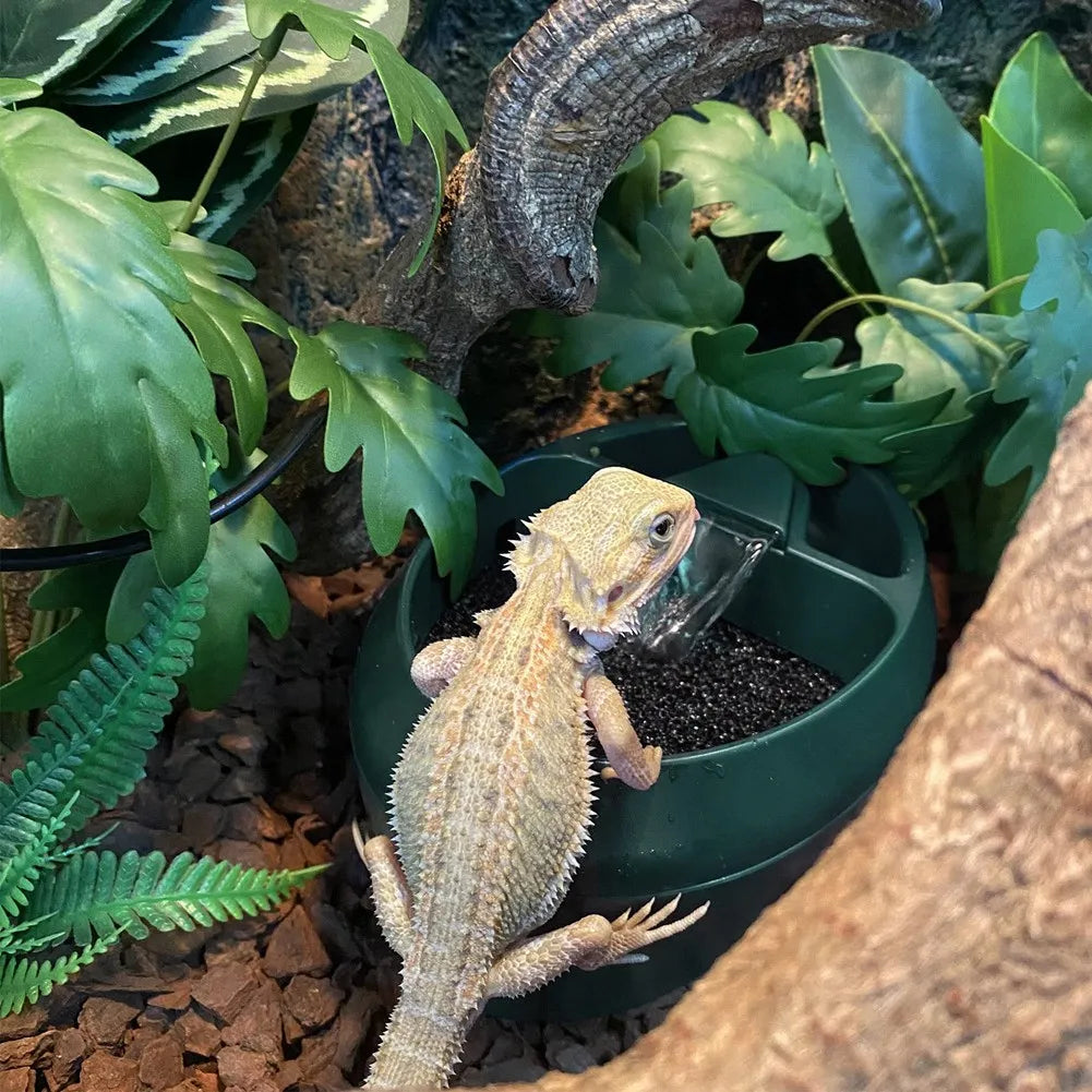 Reptile Drinking Fountain with Snack Trough
