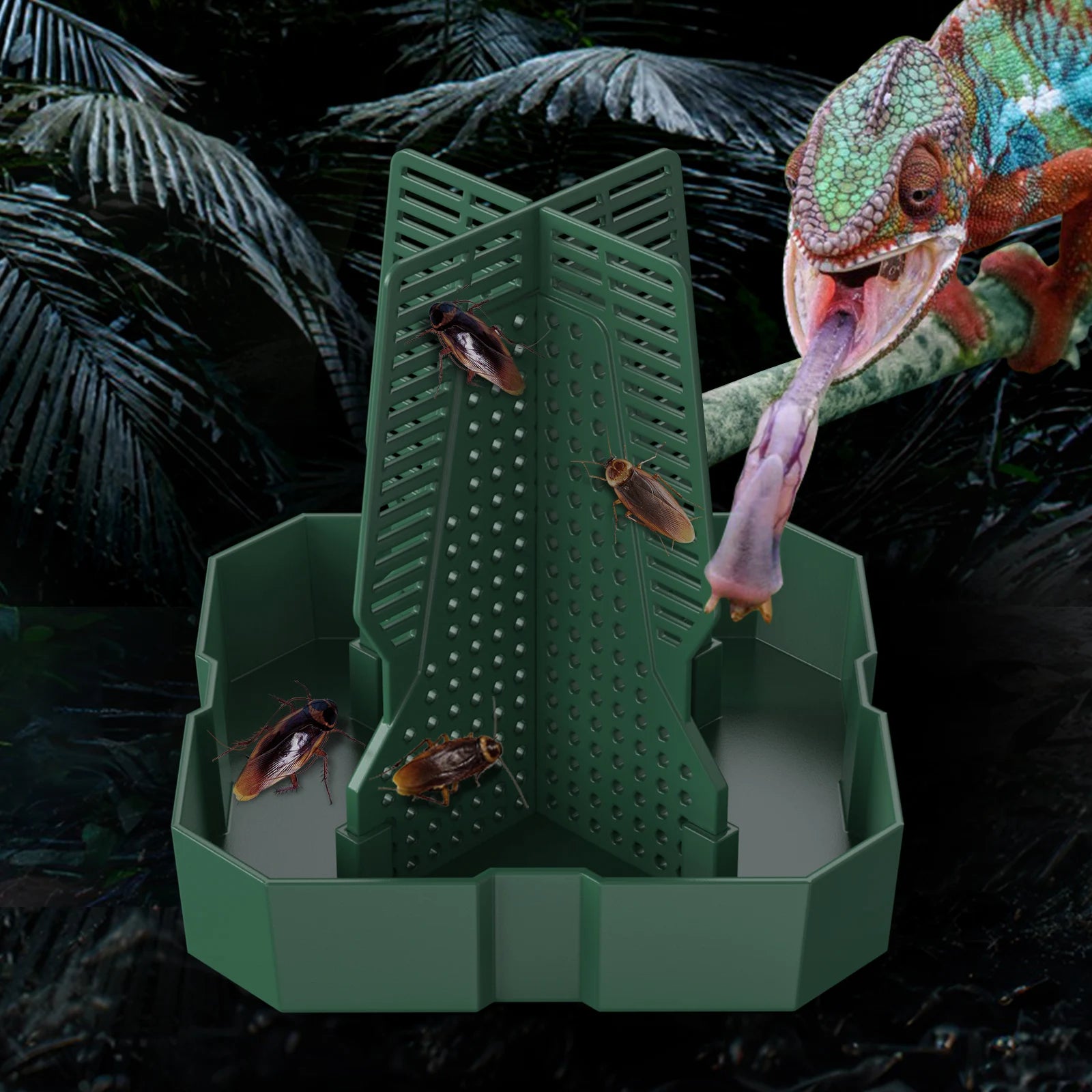 Live Food Feeding Dish for Reptiles