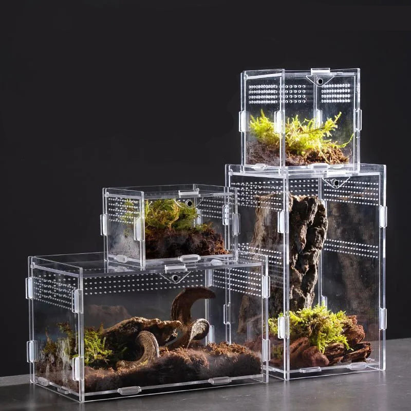 Acrylic Breeding Box for Reptiles