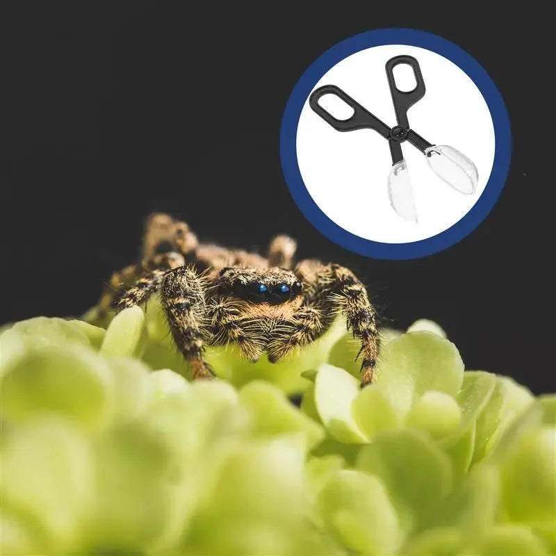 Plastic Feeding Tongs for Reptiles